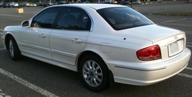 2003 Hyundai Sonata Elk Conversion Van