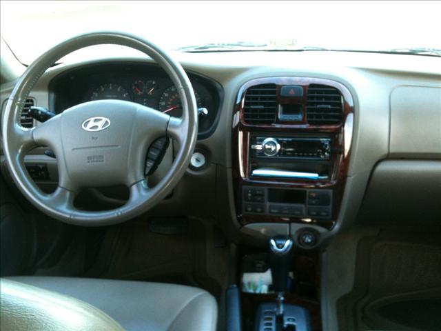 2003 Hyundai Sonata Elk Conversion Van