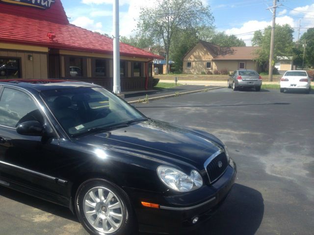 2004 Hyundai Sonata Elk Conversion Van