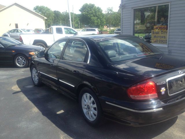 2004 Hyundai Sonata Elk Conversion Van