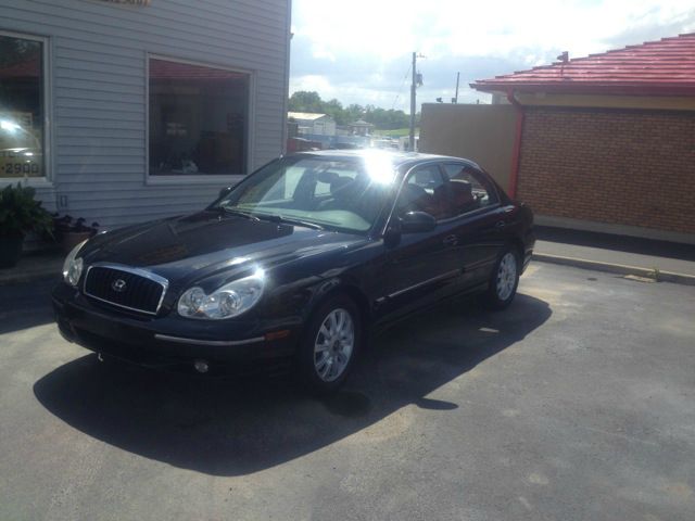 2004 Hyundai Sonata Elk Conversion Van