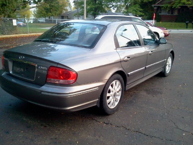 2004 Hyundai Sonata Elk Conversion Van