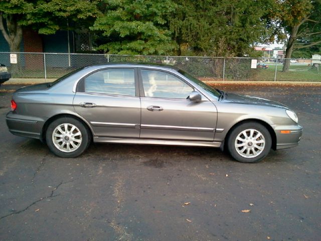 2004 Hyundai Sonata Elk Conversion Van