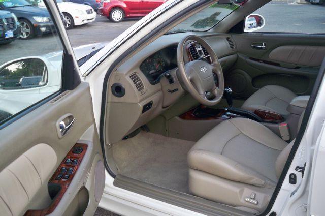 2004 Hyundai Sonata Elk Conversion Van