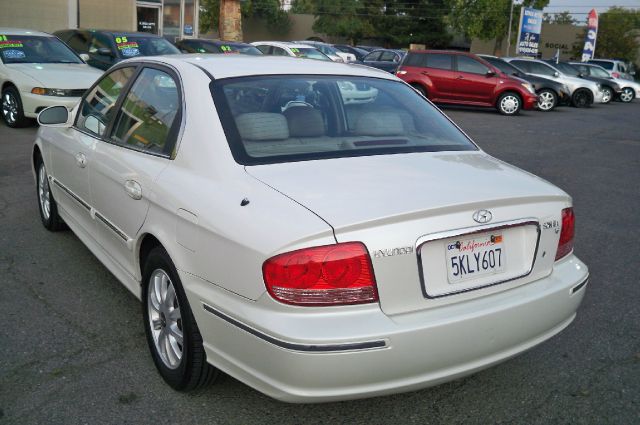 2004 Hyundai Sonata Elk Conversion Van