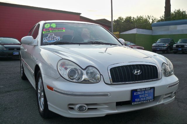 2004 Hyundai Sonata Elk Conversion Van