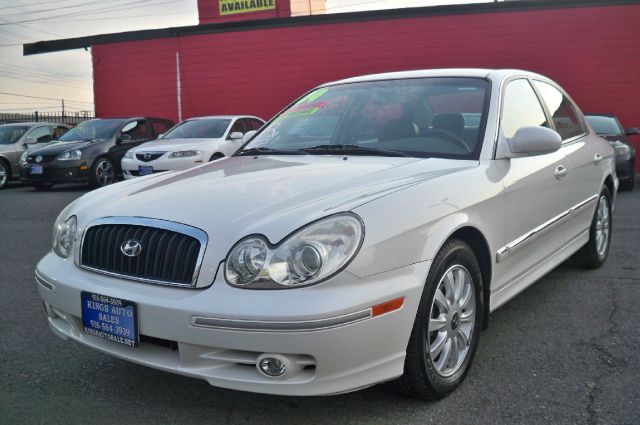 2004 Hyundai Sonata Elk Conversion Van