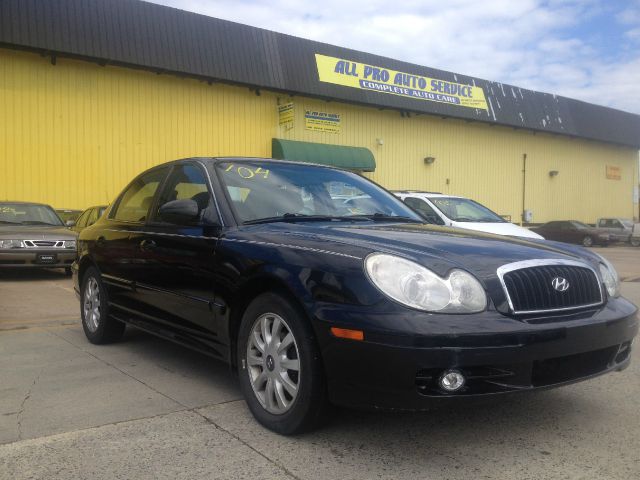 2004 Hyundai Sonata Elk Conversion Van