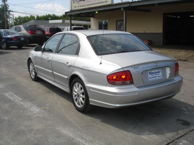 2005 Hyundai Sonata Elk Conversion Van