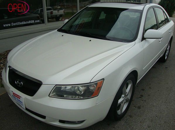 2006 Hyundai Sonata Elk Conversion Van