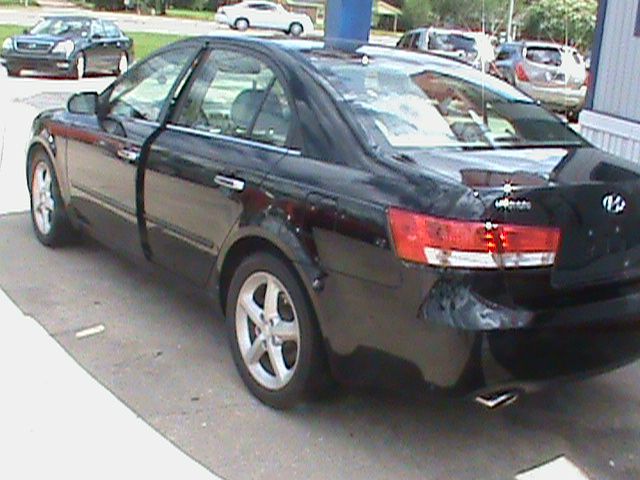 2006 Hyundai Sonata Elk Conversion Van