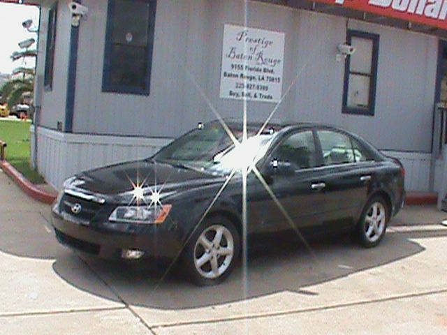 2006 Hyundai Sonata Elk Conversion Van