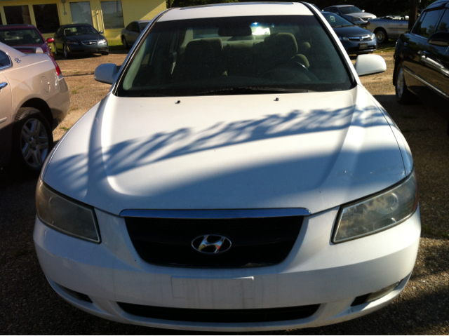 2006 Hyundai Sonata Elk Conversion Van