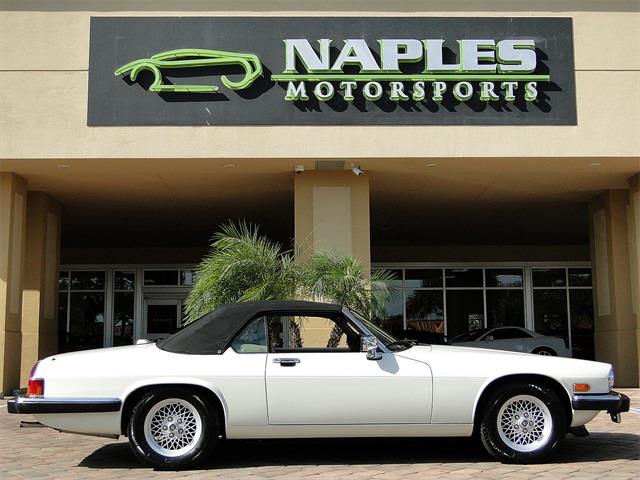 1991 JAGUAR XJ8 Locallyowned