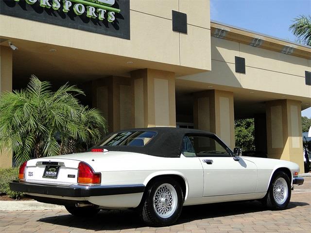 1991 JAGUAR XJ8 Locallyowned