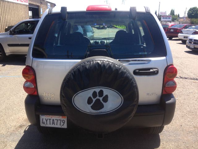 2002 Jeep Liberty Elk Conversion Van