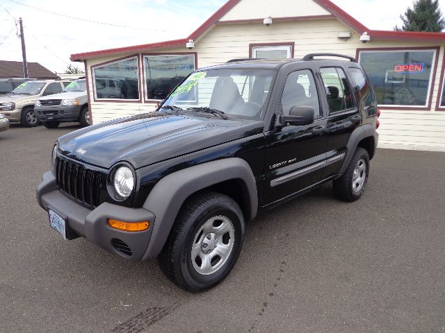 2002 Jeep Liberty GSX