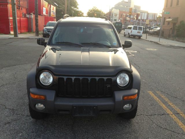 2002 Jeep Liberty Elk Conversion Van