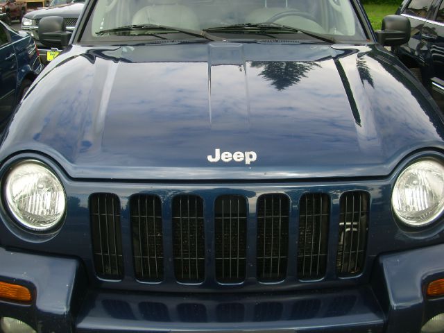 2002 Jeep Liberty Unknown