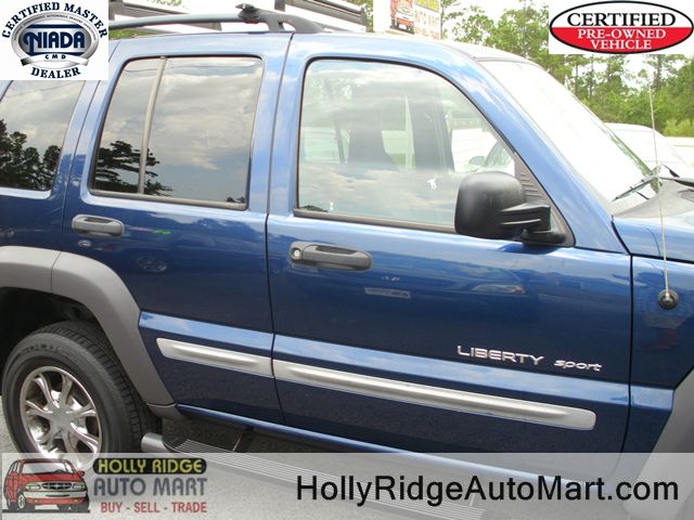 2002 Jeep Liberty Elk Conversion Van