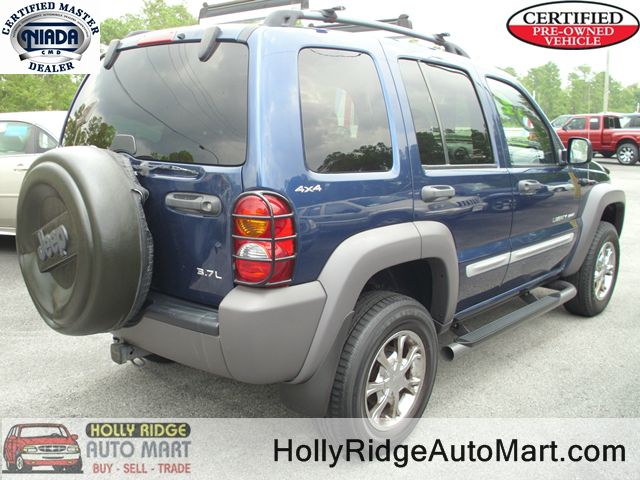 2002 Jeep Liberty Elk Conversion Van