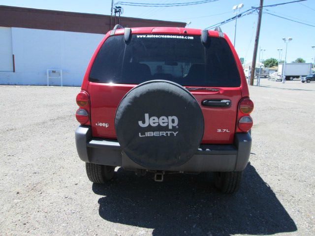 2002 Jeep Liberty Elk Conversion Van