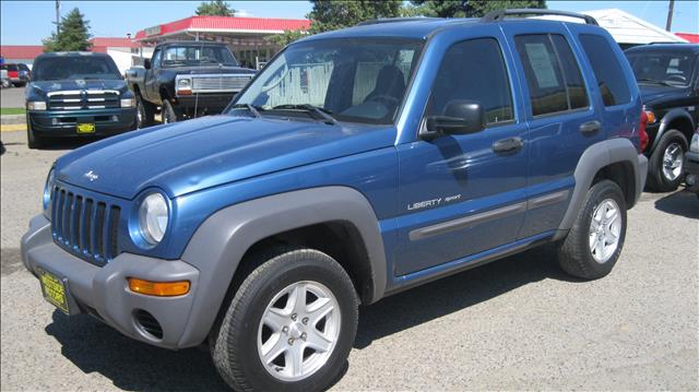 2003 Jeep Liberty Elk Conversion Van