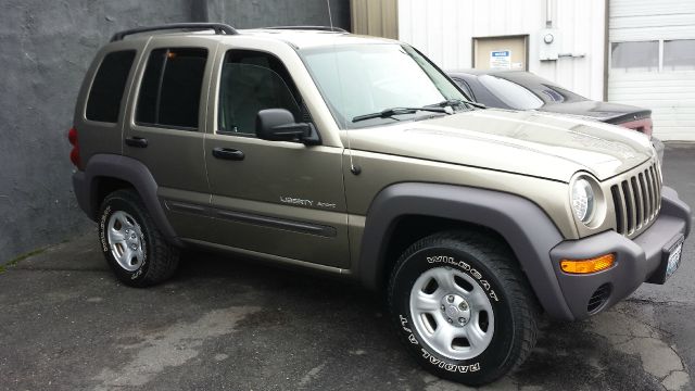 2003 Jeep Liberty Elk Conversion Van