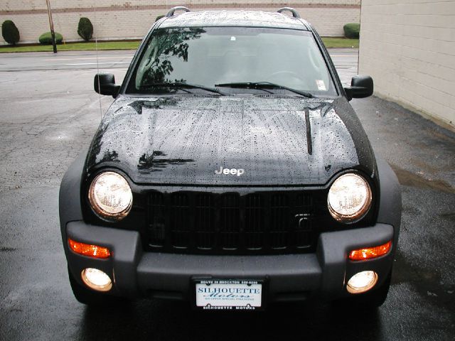 2003 Jeep Liberty Elk Conversion Van