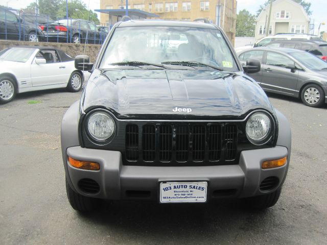 2003 Jeep Liberty Elk Conversion Van