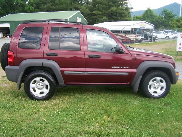 2003 Jeep Liberty Elk Conversion Van