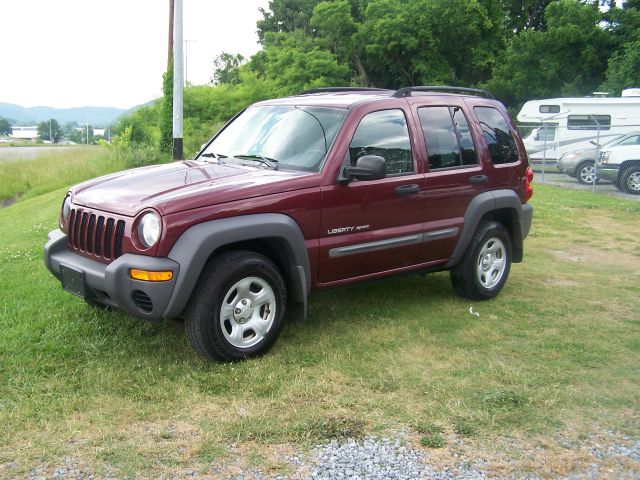 2003 Jeep Liberty Elk Conversion Van