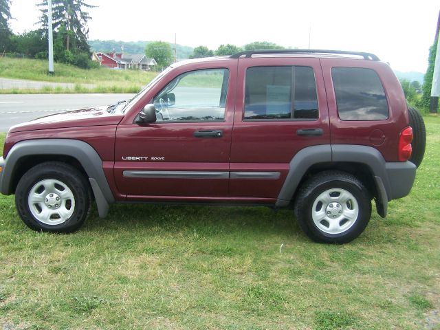 2003 Jeep Liberty Elk Conversion Van