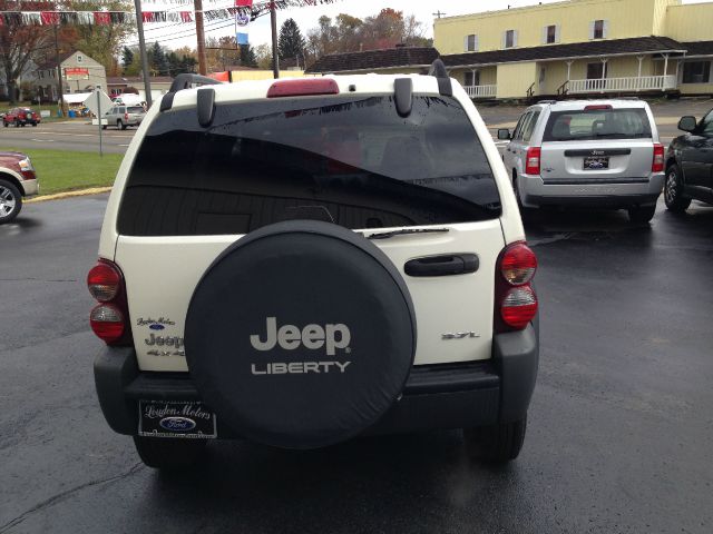 2006 Jeep Liberty Elk Conversion Van