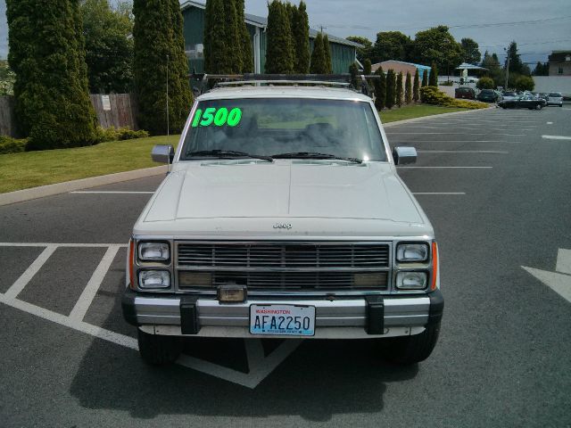 1989 Jeep Wagoneer Unknown