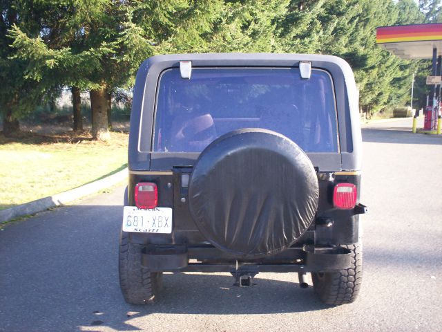 1989 Jeep Wrangler Frost