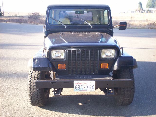 1989 Jeep Wrangler Frost