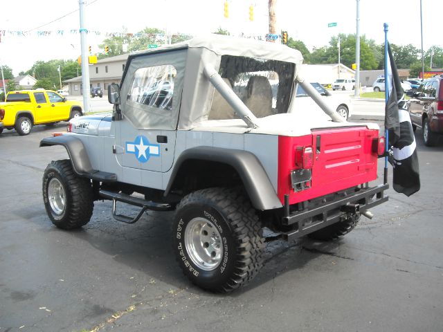 1991 Jeep Wrangler Frost