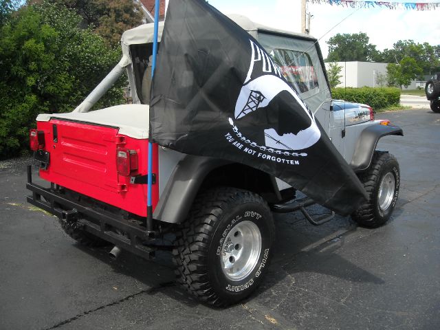 1991 Jeep Wrangler Frost