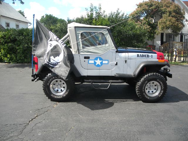 1991 Jeep Wrangler Frost