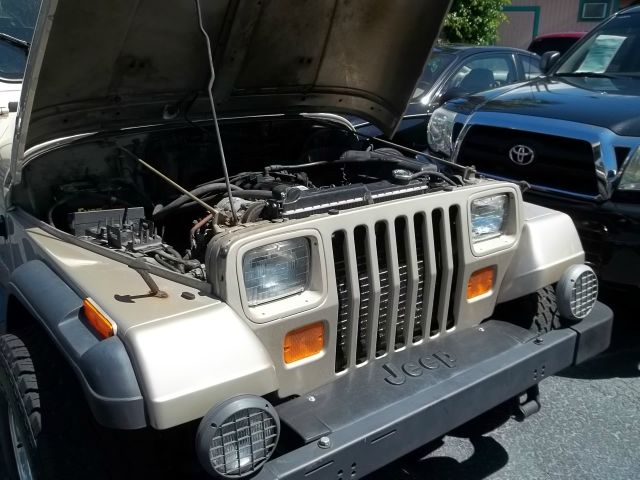 1994 Jeep Wrangler 3.5 SE