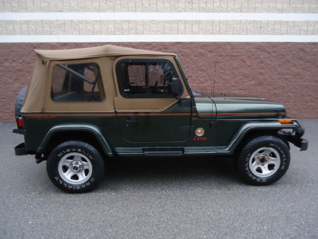 1995 Jeep Wrangler 3.5 SE