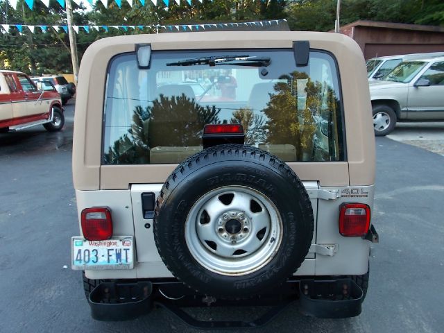 1995 Jeep Wrangler SE