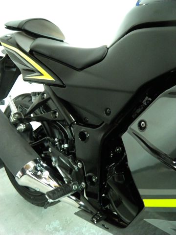 2012 Kawasaki Ninja 250R Unknown