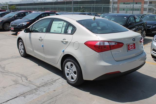 2014 Kia Forte Elk Conversion Van