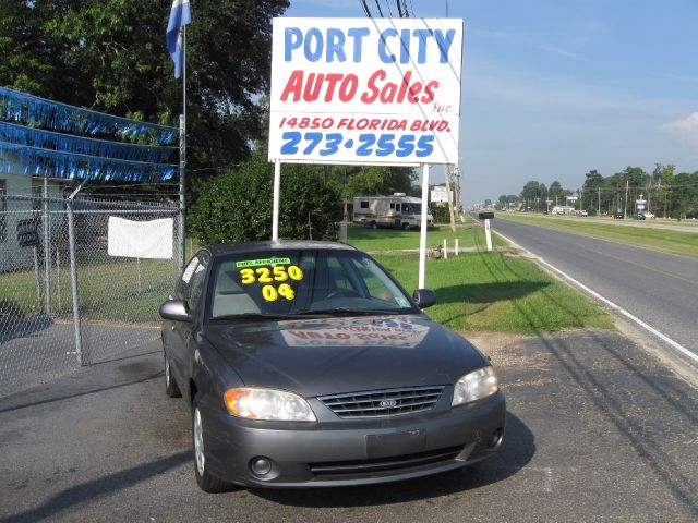 2004 Kia Spectra Elk Conversion Van