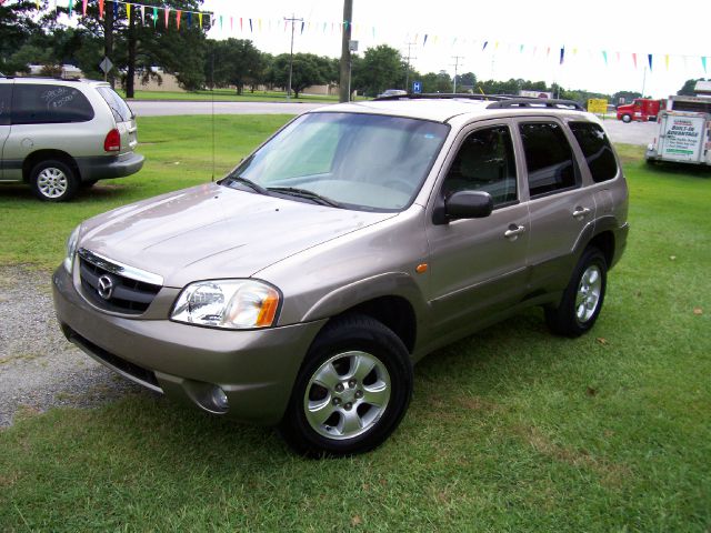 2002 Mazda Tribute Elk Conversion Van