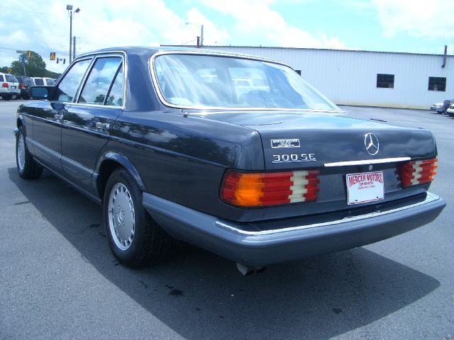 1989 Mercedes-Benz 300 Unknown