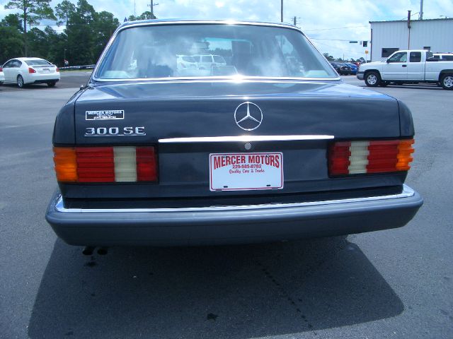 1989 Mercedes-Benz 300 Unknown