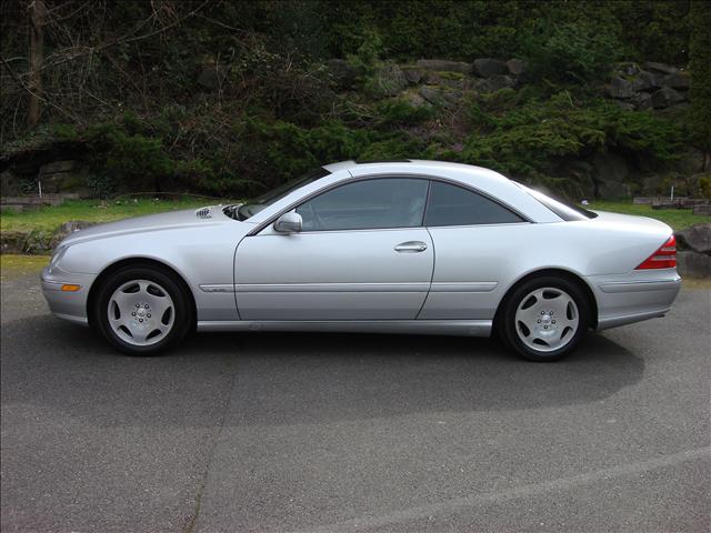 2002 Mercedes-Benz CL Class SLE PLOW